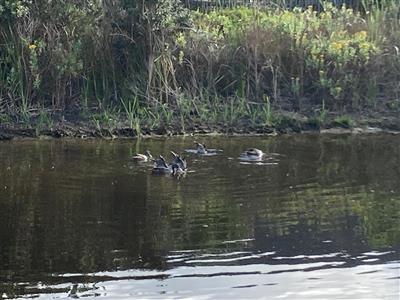 3 Bedroom Property for Sale in Lake Michelle Western Cape